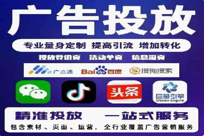 SEM公司案例研究：数据驱动营销策略